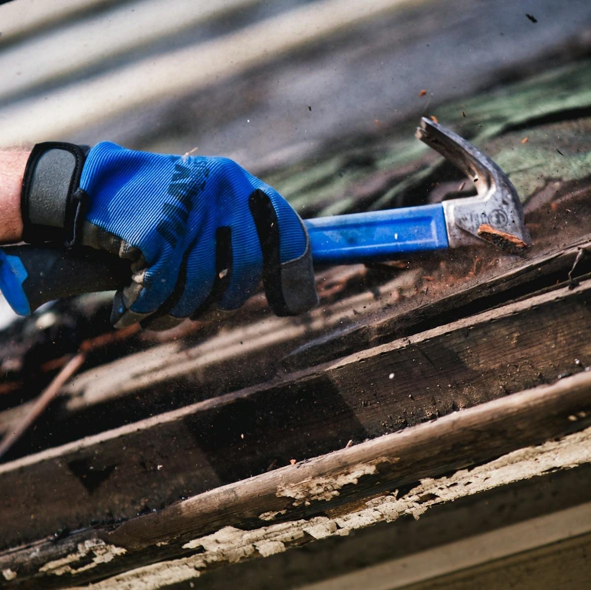 A gloved hand prying up old roofing with a hammer